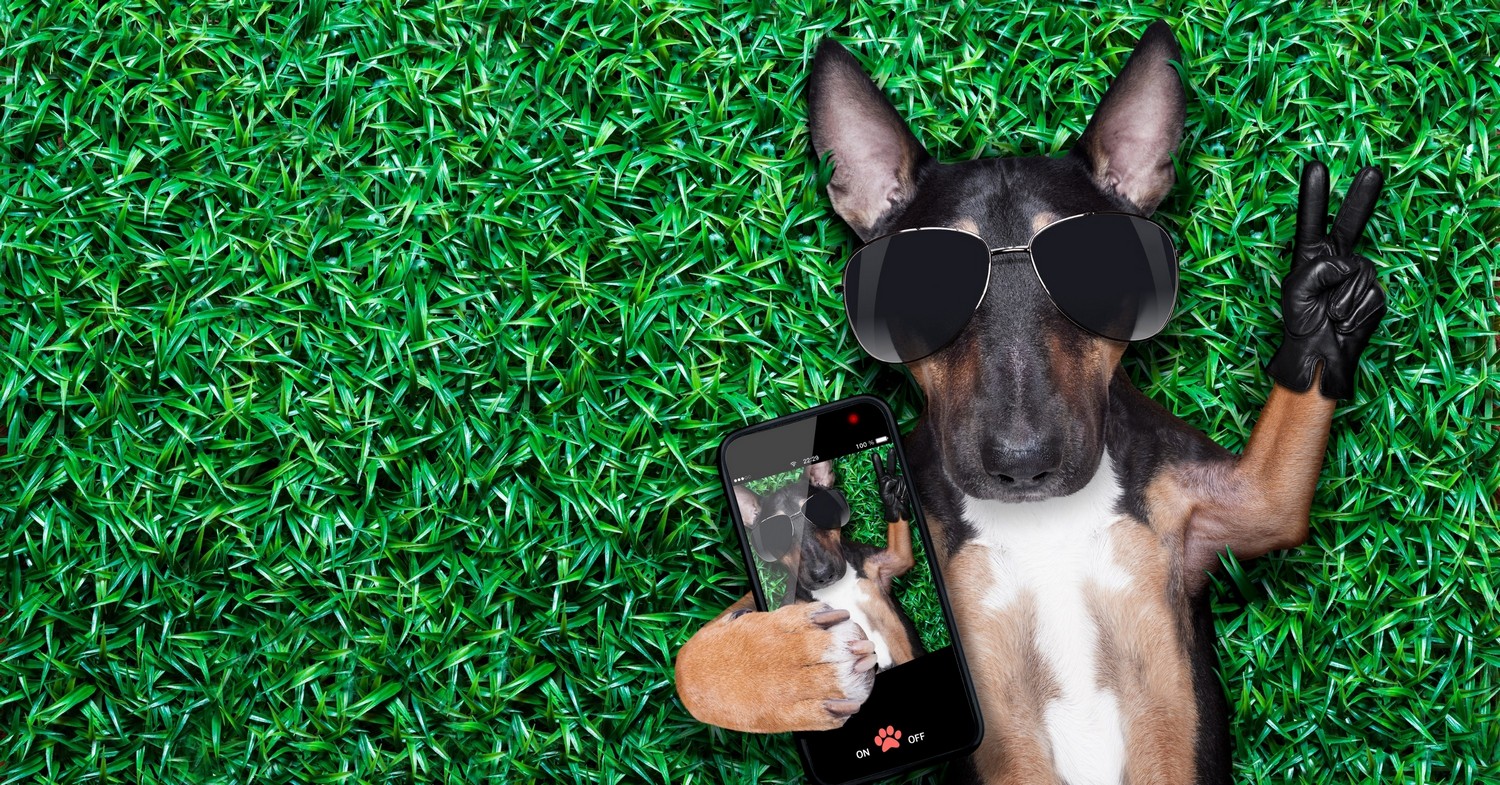 Herzlichen Glückwunsch zum Selfie-Tag, Freunde!